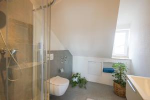 ein Bad mit einer Dusche, einem WC und einem Waschbecken in der Unterkunft Modernes und helles Apartment im Loft Stil in Heidelberg