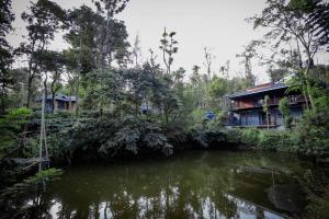 una casa a la orilla de un río con árboles en Cozy 3 BHK PoolVilla near Nagerhole National park., en Wayanad