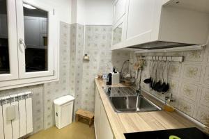 uma cozinha com um lavatório e uma bancada em La Casetta dell Horizonte em Roccaraso