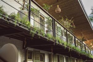 a balcony on a house with plants on it at White Penny Hostel in Seminyak