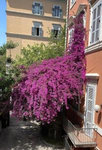 Zahrada ubytování Hotel Casa Valdese Roma