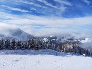 a snow covered slope with trees and a mountain at Avoriaz: appart rénové 4 pers, proche pistes, WiFi, casier à skis - FR-1-633-32 in Avoriaz