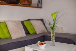 Część wypoczynkowa w obiekcie Apartment Nolan