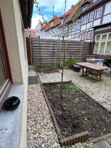 a small tree in a garden next to a bench at 3-Zimmer mit Terrasse im Herzen von Göttingen in Göttingen