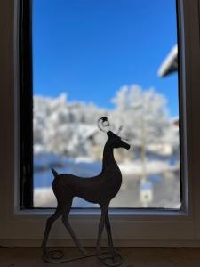 Zvířata v apartmánu nebo okolí + 22 fotografií