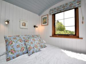 a bedroom with a white bed and a window at 1 Bed in Llanidloes 56492 in Van