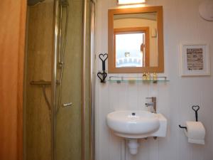 La salle de bains est pourvue d'un lavabo, d'une douche et d'un miroir. dans l'établissement 1 Bed in Llanidloes 56492, à Van