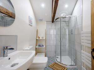 a bathroom with a shower and a toilet and a sink at 3 Bed in Wroxham 79211 in Dilham
