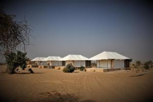 山姆Desert island Camp & Resort Jaisalmer的相册照片