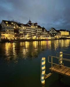 un groupe de bâtiments sur une rivière avec un quai dans l'établissement Lion BB Swiss, à Zurich