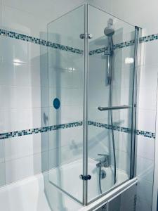 a shower with a glass enclosure in a bathroom at Cottage Opale in Stella-Plage