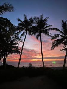 フーコックにあるTanya Phu Quoc Hotelの夕日のビーチのヤシの木