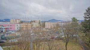 a view of a city with buildings and trees at Mountain Hideaway Apartment in Braşov