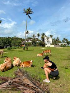 a woman sitting on the grass with cows in a field at Wake Up Weligama in Weligama