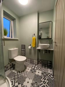 a bathroom with a toilet and a sink at Just the tonic in Nottingham