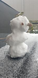 Diamentowe Wzgórze 26/3 في لوبلين: رجل ثلجي مصنوع من الثلج على الأرض
