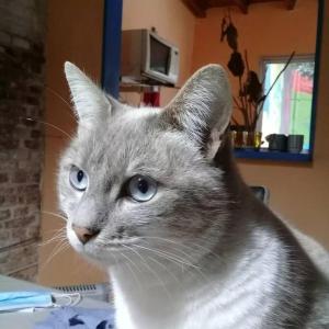 Foto dalla galleria di La casa de los murales ad Avellaneda