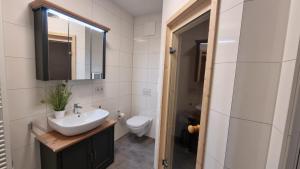 a bathroom with a sink and a toilet at Park-Apartment Scharmützelsee Wohnung 7 in Wendisch Rietz +4 photos