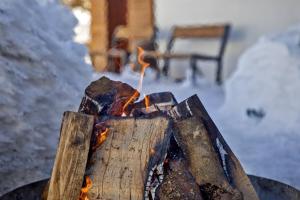 eine Feuerstelle mit Holz und Flammen darin in der Unterkunft Penzion Apidae in Deštné v Orlických horách