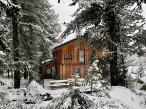 eine Blockhütte im Wald im Schnee in der Unterkunft Chalet Bastion in Turracher Hohe