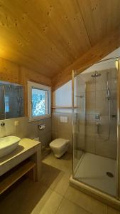 a bathroom with a shower and a toilet and a sink at Chalet Bastion in Turracher Hohe