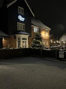 a building with a christmas tree in front of it at The Lawns Hotel in Derby