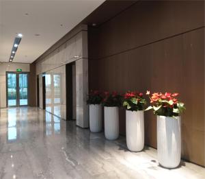 une rangée de vases blancs avec des fleurs dans un couloir dans l'établissement Royal Executive Apartment, Shenzhen World Exhibition & Convention Center, Nearby Shenzhen World North Metro St ation, à Bao'an