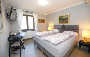 Schlafzimmer mit einem Bett, einem Schreibtisch und einem Fenster in der Unterkunft Penzion Apidae in Deštné v Orlických horách