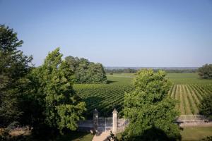 een luchtzicht op een wijngaard met bomen bij Live the castle life in Malescasse! in Lamarque