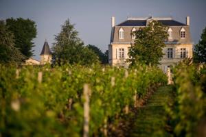 une vieille maison au milieu d'un vignoble dans l'établissement Live the castle life in Malescasse!, à Lamarque