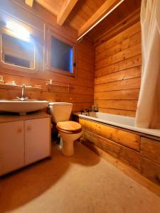 La salle de bains en bois est pourvue de toilettes et d'un lavabo. dans l'établissement Maison de bois finlandaise au pied des pistes, à Bolquère-Pyrénées 2000
