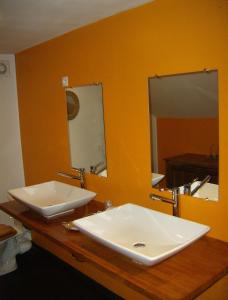 a bathroom with a white sink and a mirror at Le Chateau de Prauthoy in Prauthoy