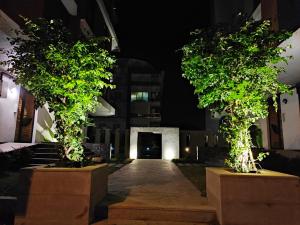 two trees in front of a building at night at Hermes rezidans in Antalya