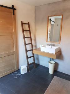a bathroom with a sink and a ladder next to a mirror at Petite maison de designer (avec terrasse) in Durban-Corbières
