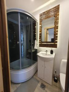 a bathroom with a shower and a sink and a mirror at New apartment in historic house in Riga
