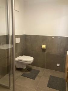 a bathroom with a toilet and a shower stall at Appartement Stefanie in Hollersbach im Pinzgau