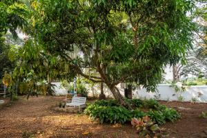 Zahrada ubytování Mystical Garden by the River 2BHK -By Aquagreen Homes