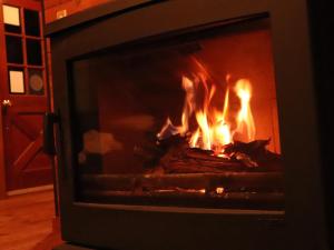 a fireplace with a fire in it at The Suite Forest FUKUOKA DAZAIFU -TOBARI- 1日1組限定の貸別荘 大型犬ペット可 in Dazaifu
