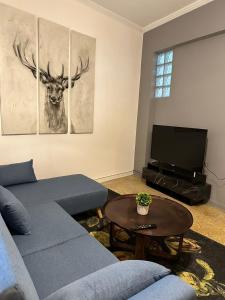 a living room with a blue couch and a tv at Cozy Apartment at Gazi Square in Athens