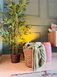 two potted plants and a blanket on a table at Casa André - 3 Bedroom Roda Golf apartment nearby entrance and clubhouse in Roda