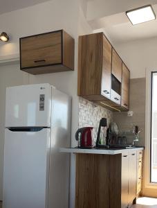 a kitchen with a white refrigerator and wooden cabinets at Rooftop Acropolis Apartment Athens in Athens