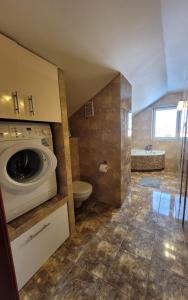 ein Badezimmer mit einer Waschmaschine und einem WC in der Unterkunft Apartament 'Siwy Dom' 