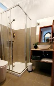 a bathroom with a shower and a sink at Casa Raposo in Miranda do Corvo