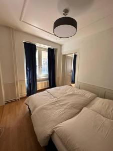 a bedroom with a white bed and a window at Cozy apartment in oldtown Zurich5 in Zurich