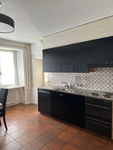 Cozy apartment in oldtown Zurich5 في زيورخ: مطبخ مع دواليب سوداء ومغسلة