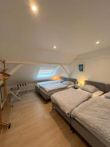 a room with three beds in a attic at Le Cottage in Furdenheim +45 photos