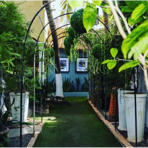 un jardín con plantas verdes y una casa azul en Villa Wilda, en Bamako