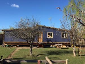 a large blue house with trees in front of it at Beautiful cabin in Patagonia Chile. in Chile Chico
