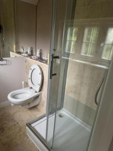 a bathroom with a toilet and a glass shower at Cosy and lovely 4-Bed House in Stanmore in Stanmore