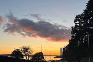 a sunset over a street with trees and a street light at 1-Bed Apartment Sleeps 2 -Free Parking -WiFi & Tv in Dundee